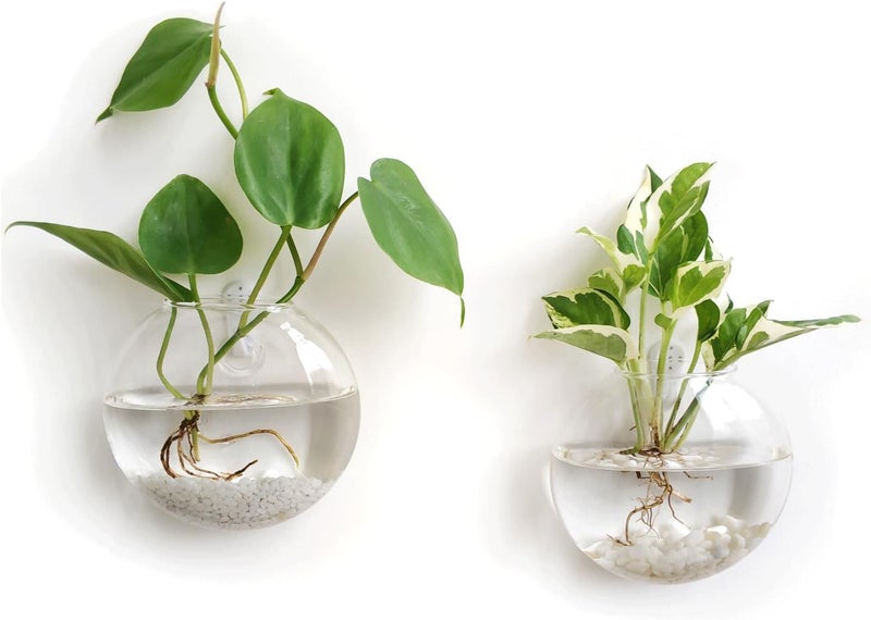 Mkono Wall Hanging Glass Terrariums Planter Oblate Flower Vase for Hydroponics Plants, Bathroom, Home Office Living Room Decor, Set of 2 - Image 1